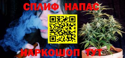 мдпв Ачхой-Мартан