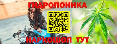 apvp Аша
