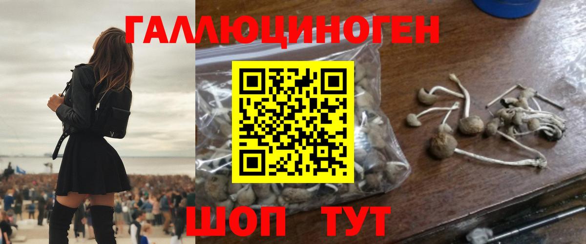 Псилоцибиновые грибы Psilocybe  Вход с VPN  Зеленогорск  Галлюциногенные грибы Cubensis 