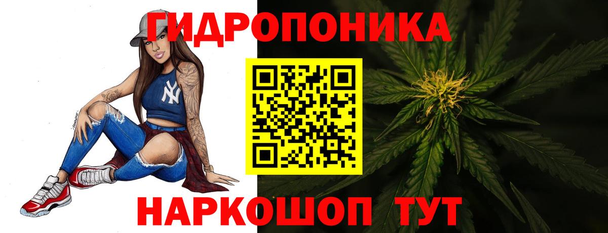 Зеленогорск  Канабис семена  Шишки марихуана сатива  Вход с VPN  Бошки марихуана White Widow 